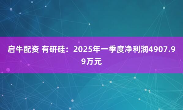 启牛配资 有研硅：2025年一季度净利润4907.99万元