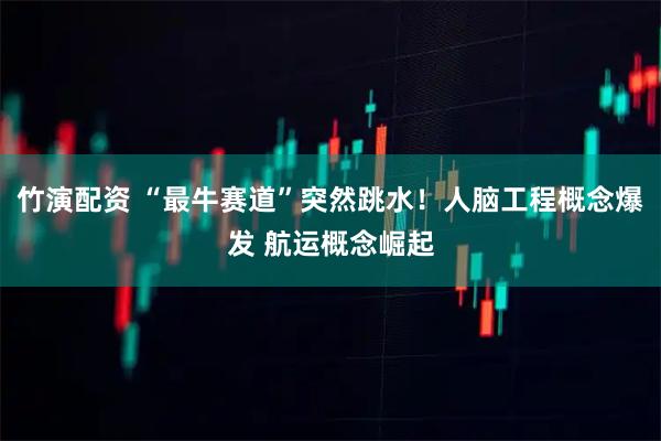 竹演配资 “最牛赛道”突然跳水！人脑工程概念爆发 航运概念崛起