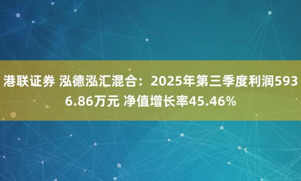 港联证券 泓德泓汇混合：2025年第三季度利润5936.86万元 净值增长率45.46%