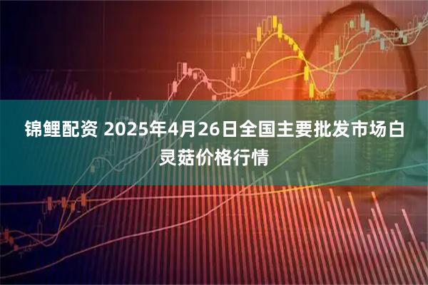 锦鲤配资 2025年4月26日全国主要批发市场白灵菇价格行情